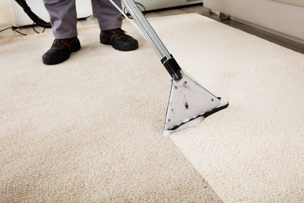 Custodian cleaning a carpet